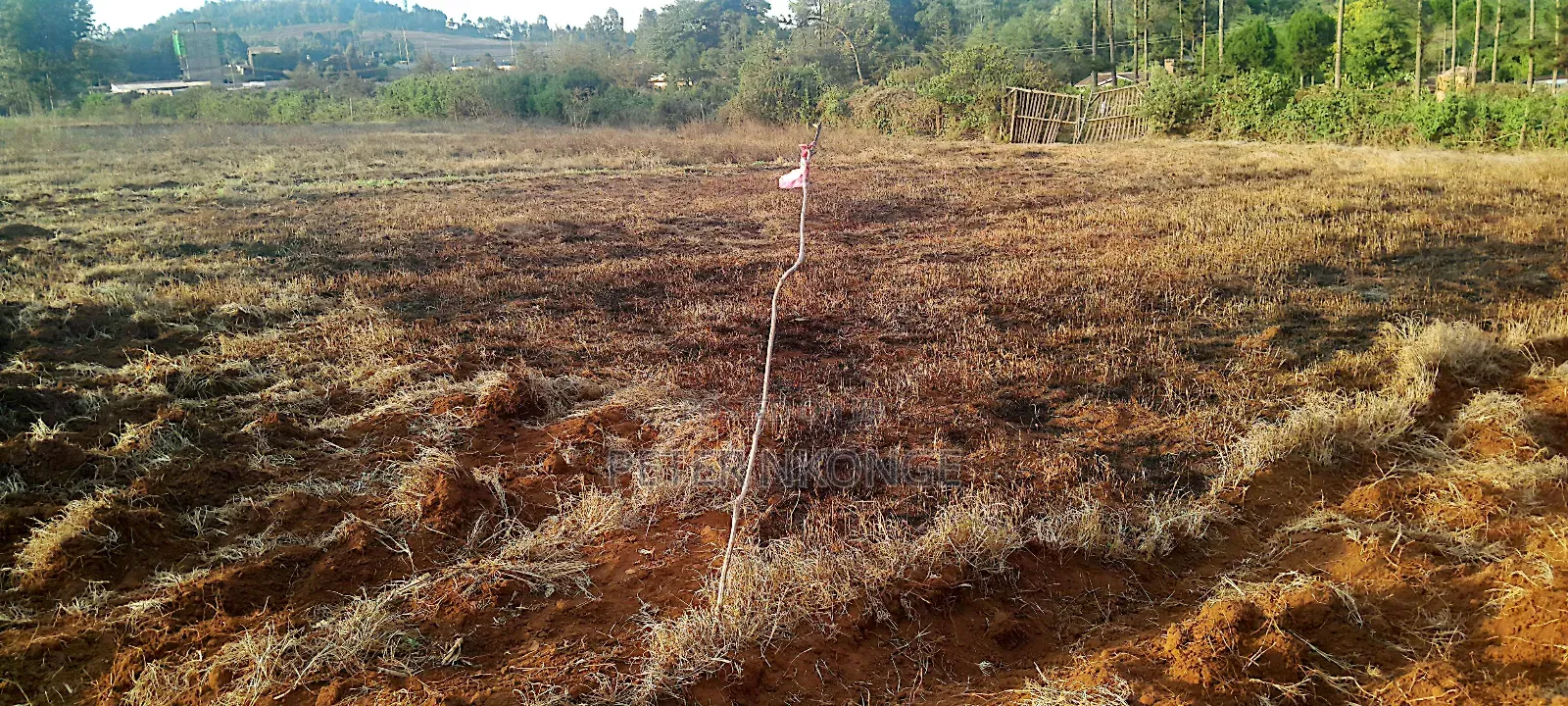 50 X 100 Plots Kiirua Tti