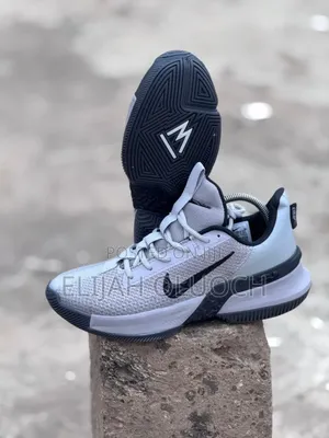 High Quality Nike (Lebron 13)