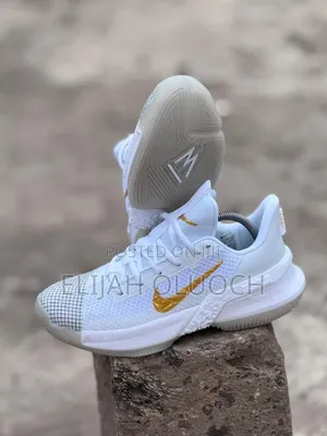 High Quality Nike (Lebron 13)