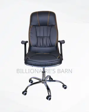 Executive_leather_office_chair__high_back_padded_armrests