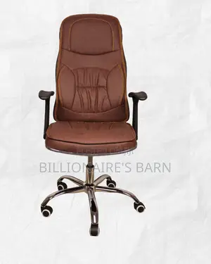 Ergonomic_executive_leather_chair__high_back_padded_armrest