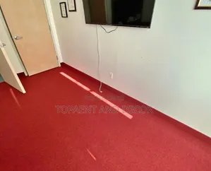 Modern Red Wall to Wall Floor Carpets
