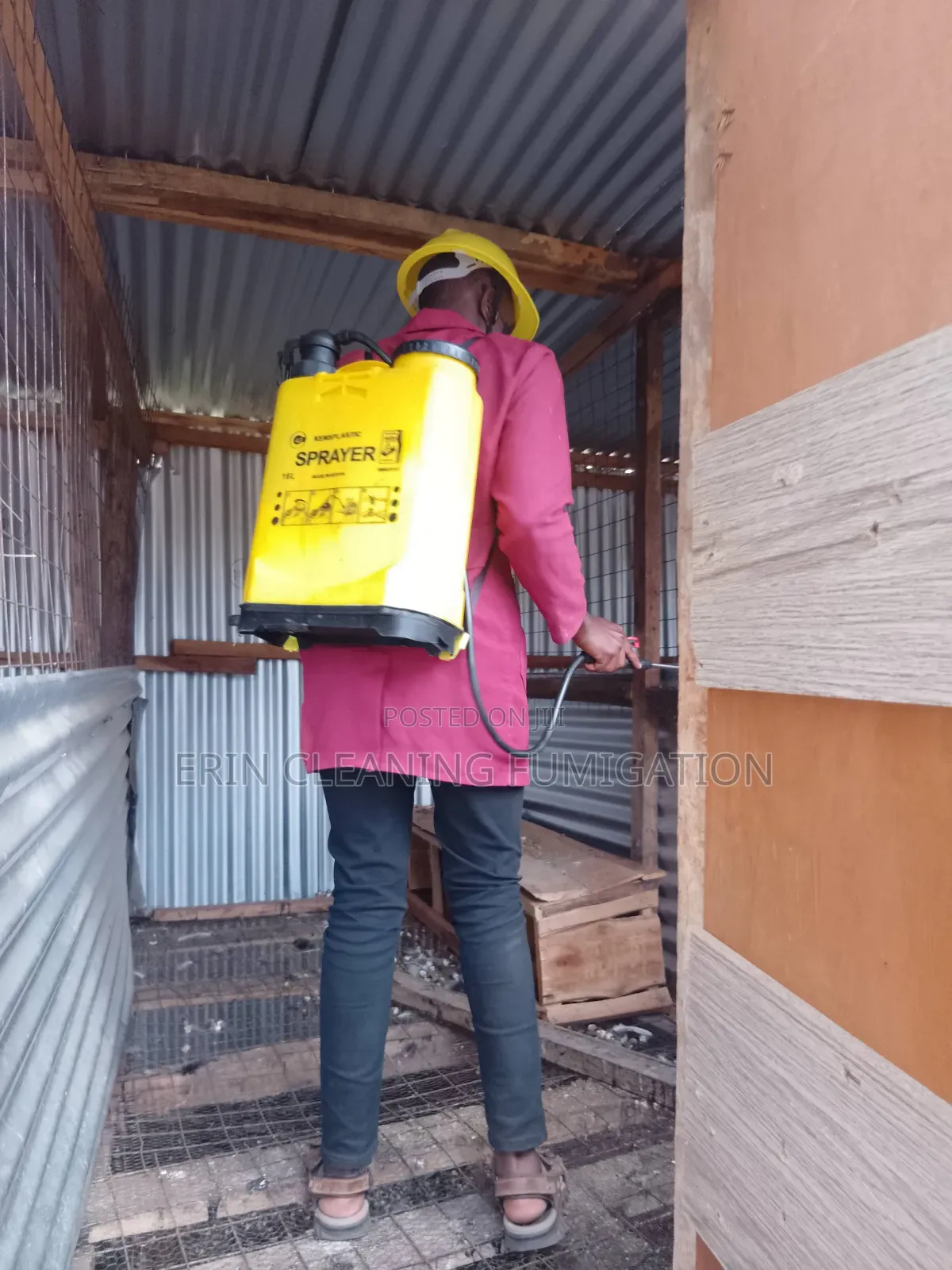 Professional Company in Fumigation and Cleaning