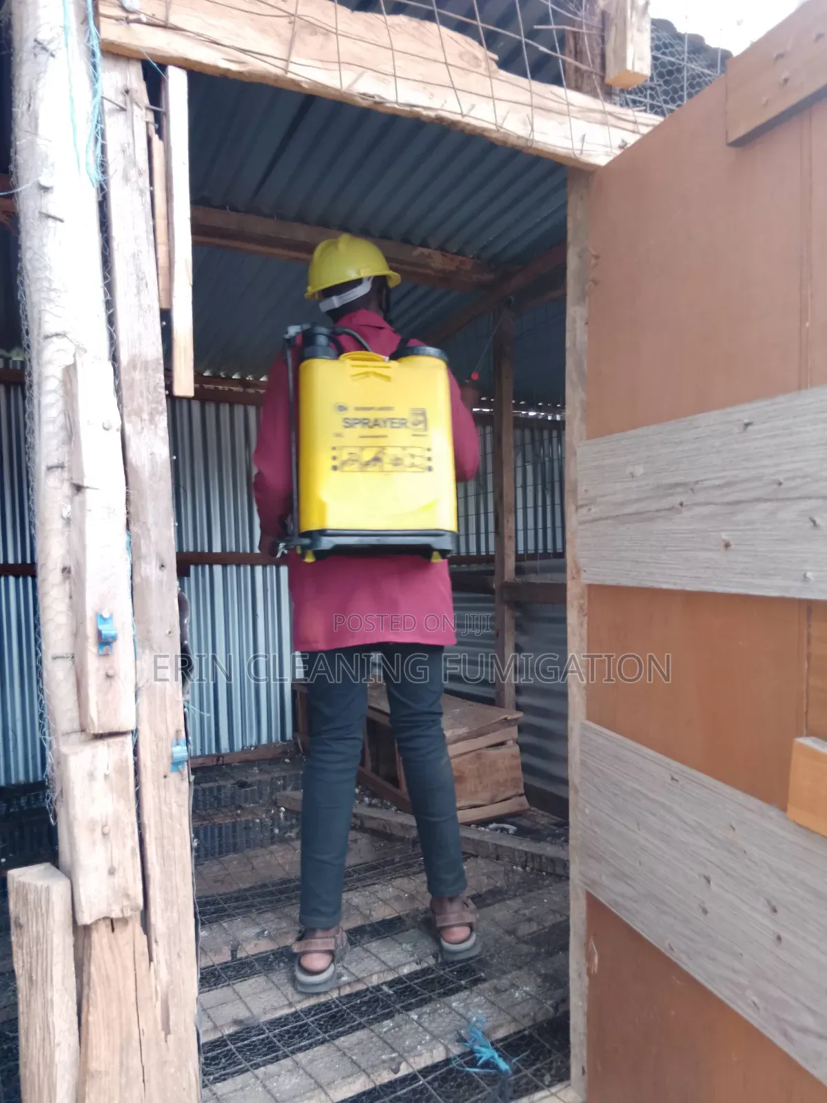 Professional Company in Fumigation and Cleaning