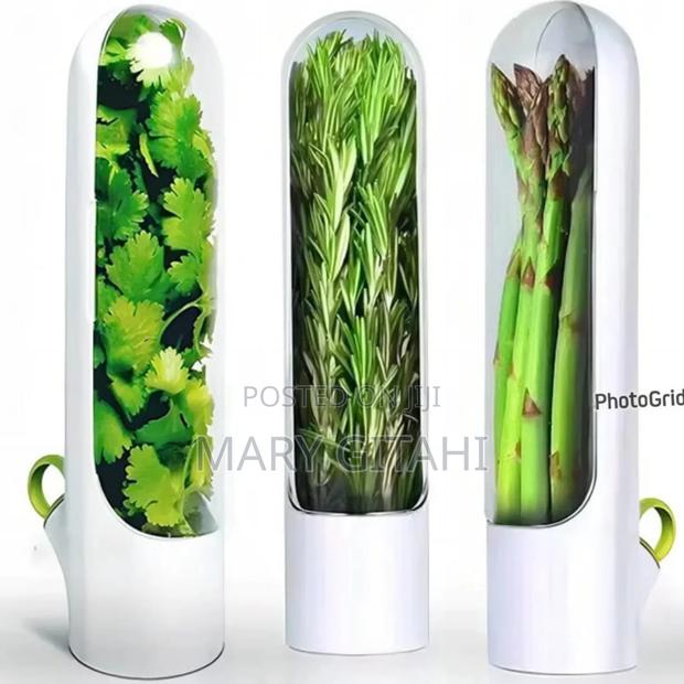 Herb/Dhania Fridge Storage Containers *