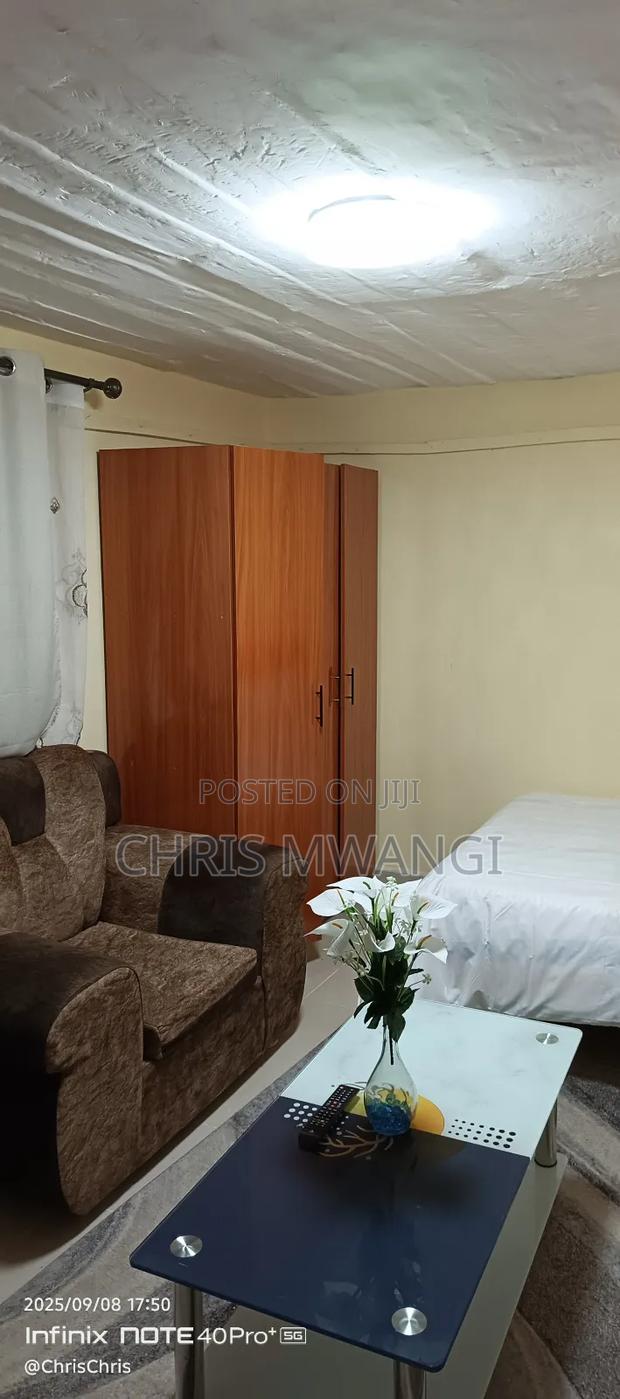 1bdrm Block of Flats in Utawala Street for sale - thumbnail 5