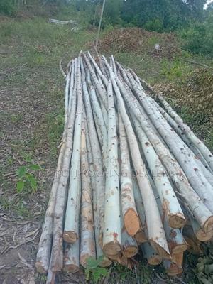 Blue Gam Poles Mombasa - main view