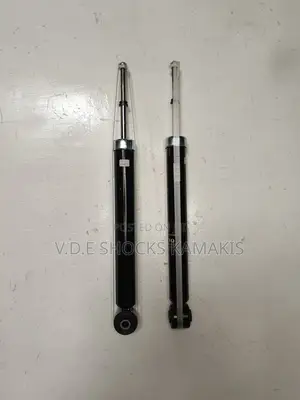Mitsubishi Grandis/Chariot Front Shocks