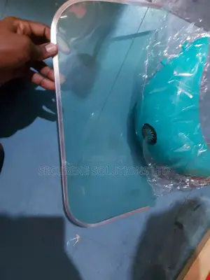 Face Shield
