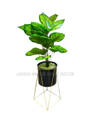 Artificial Zebra Plant in a Nordic Black and Gold Plant Pot