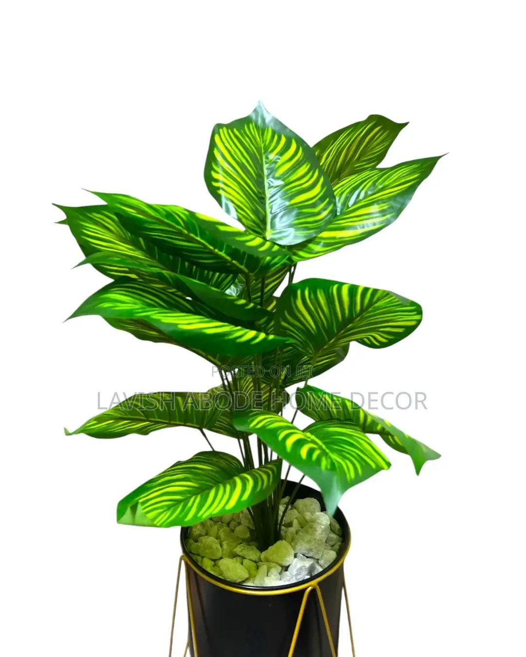 Artificial Zebra Plant in a Nordic Black and Gold Plant Pot