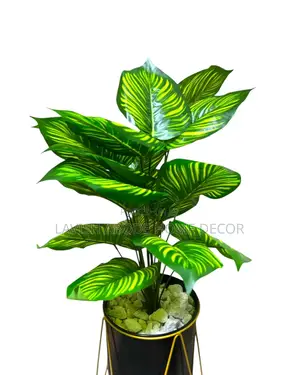 Artificial Zebra Plant in a Nordic Black and Gold Plant Pot