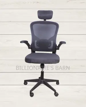 Grey Ergonomic Office Chair (Quiet-Roll) — Restocked!