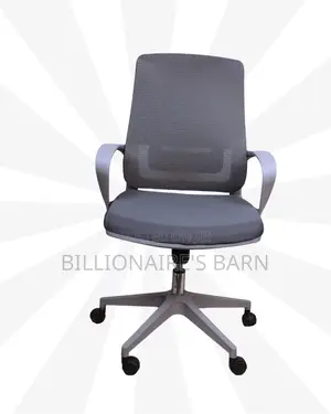 Grey Ergonomic Mesh Office Chair | Plush Scratch-Resistant Finish