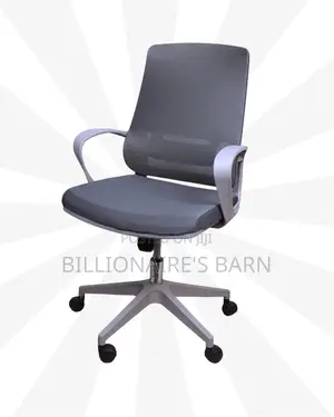 Grey Ergonomic Mesh Office Chair | Plush Scratch-Resistant Finish