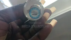 Contact Lenses