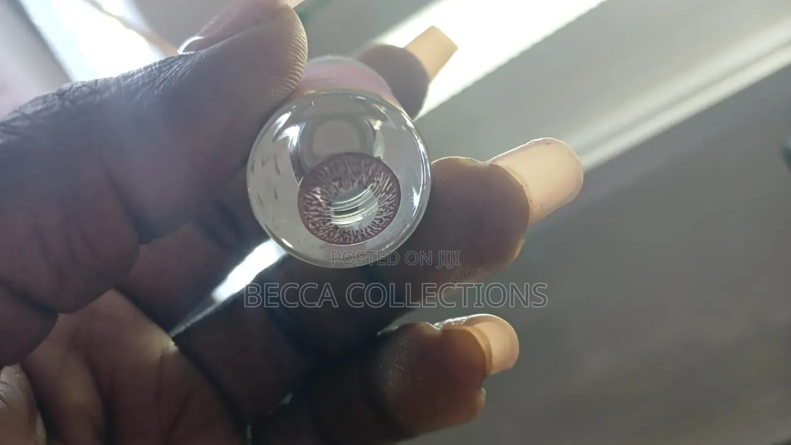 Contact Lenses