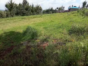 100 by 50 Plot for Sale in Nyahururu
