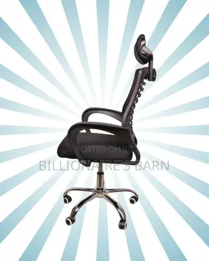 Secretarial Mesh Chair | Premium Mesh Backrest