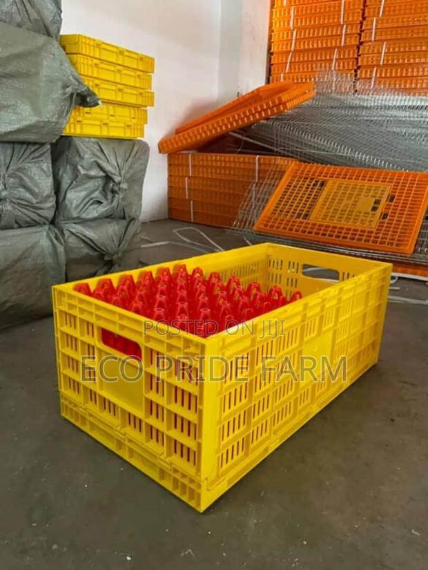 Eggs Transportation Trays - main view