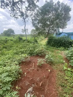 New Loresho 3.5 Acres Near Vet Lab