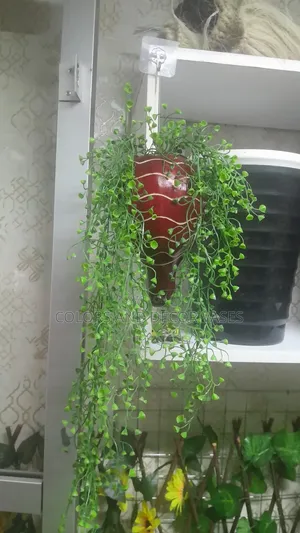 Calabash Vine Vase