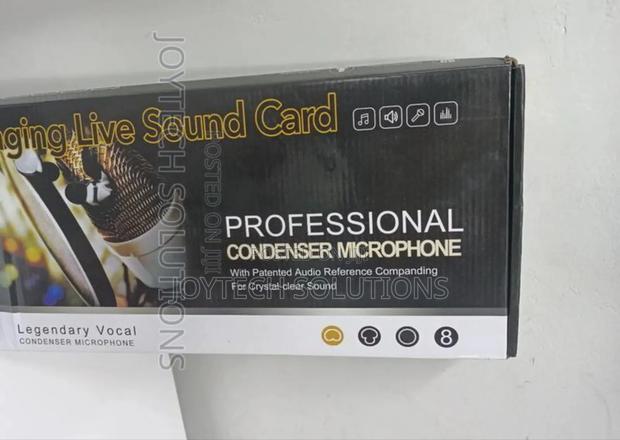 Stage Microphone Karaoke Mic