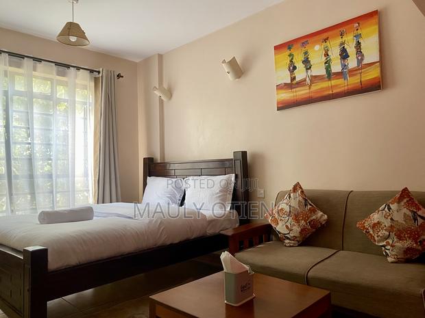 Furnished Studio Apartment in Nairobi West - main view