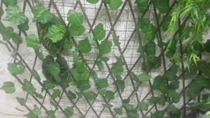 Expandable Fence Greeny Leaf