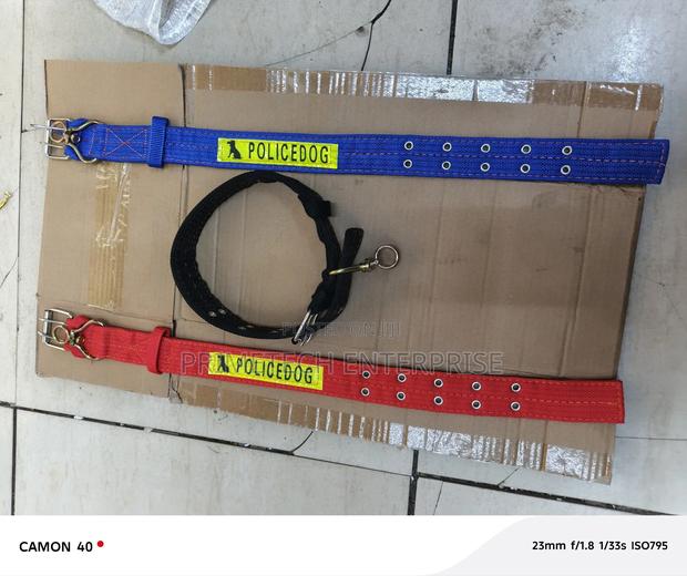 Dog Collar Medium Dog - main view