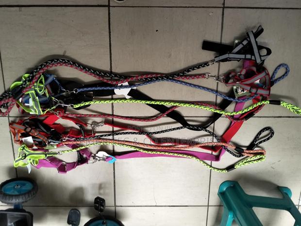 Dog Leash German Shepherd - main view