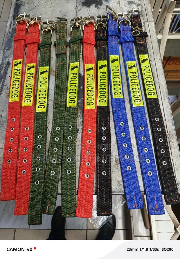 Small Dog Dog Collar - main view