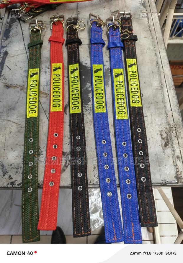 Dog Collar, Dog Collar -New - main view