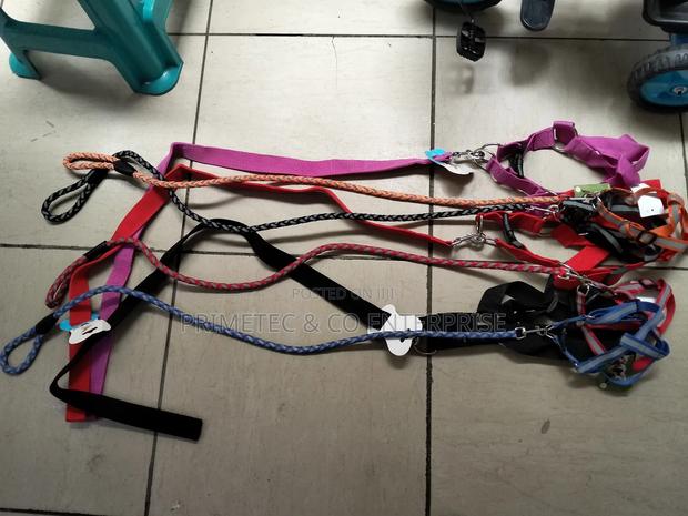 Reflective Dog Leash