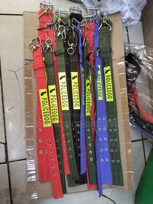 Dog Collar Available - thumbnail 2