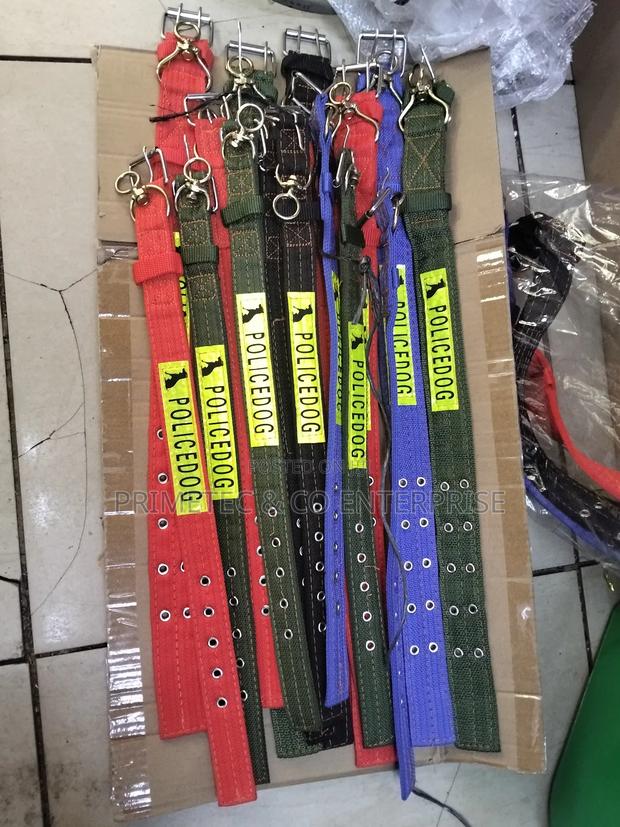 Dog Collar Available - main view