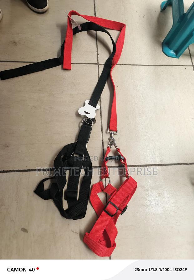 Durable Big Dog Leash - main view