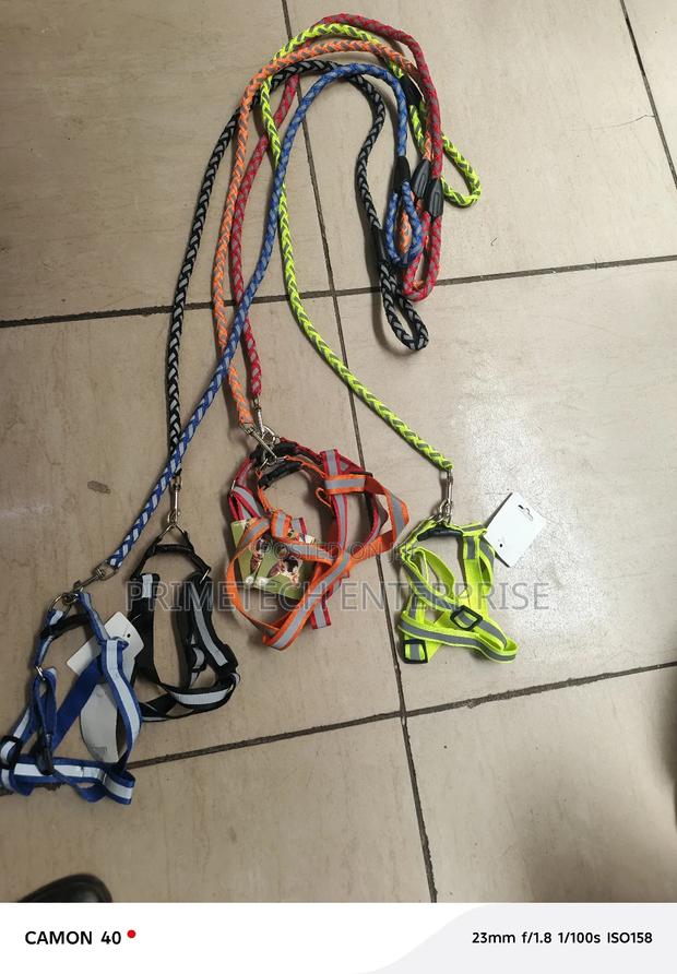 Reflective Small Dog Leashes - main view