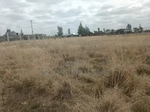 50x100 Commercial Plot 800m From Kangundo Rd. (Distress Sale)
