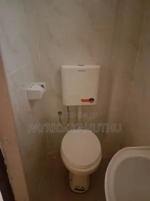 1bdrm Bedsitter in Kenyatta Road for rent