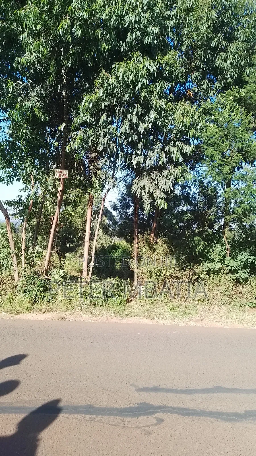 Plot for Sale in Kiambu