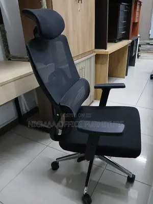 Adjustable, Supportive Executive-Grade Orthopedic Seat