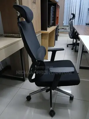 Adjustable, Supportive Executive-Grade Orthopedic Seat