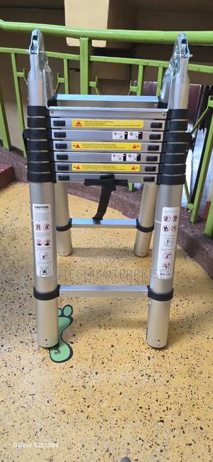 Double Sided Telescope Ladder 2.5m + 2.5m - thumbnail 2