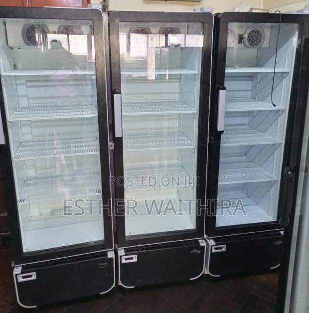 300 Litres Showcase Display Fridge - main view