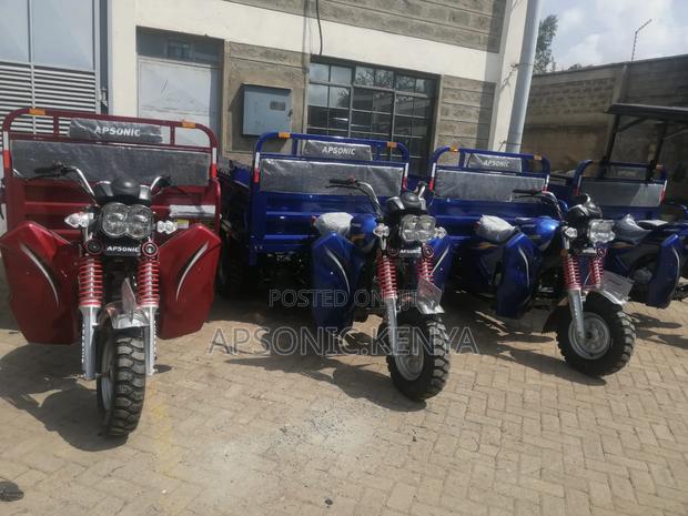 New Apsonic AP200ZH-VIP 2024 Red - thumbnail 2