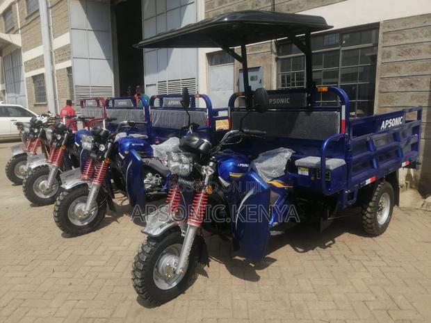 New Apsonic AP250 PRO 2024 Blue - main view