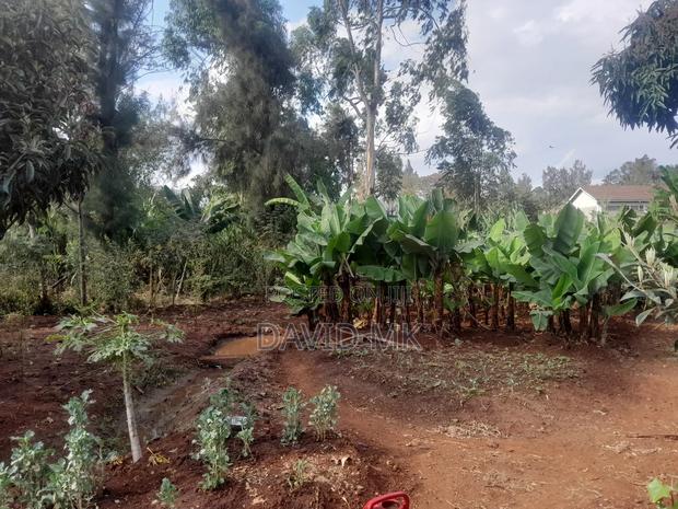 6 Bedrooms, 4 Ensuite - thumbnail 9