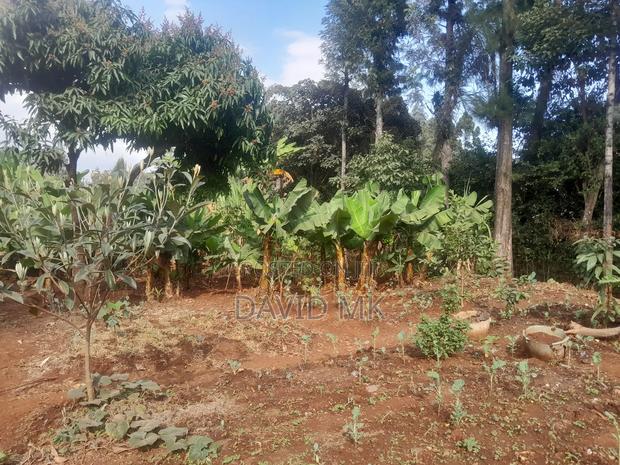 6 Bedrooms, 4 Ensuite - thumbnail 10