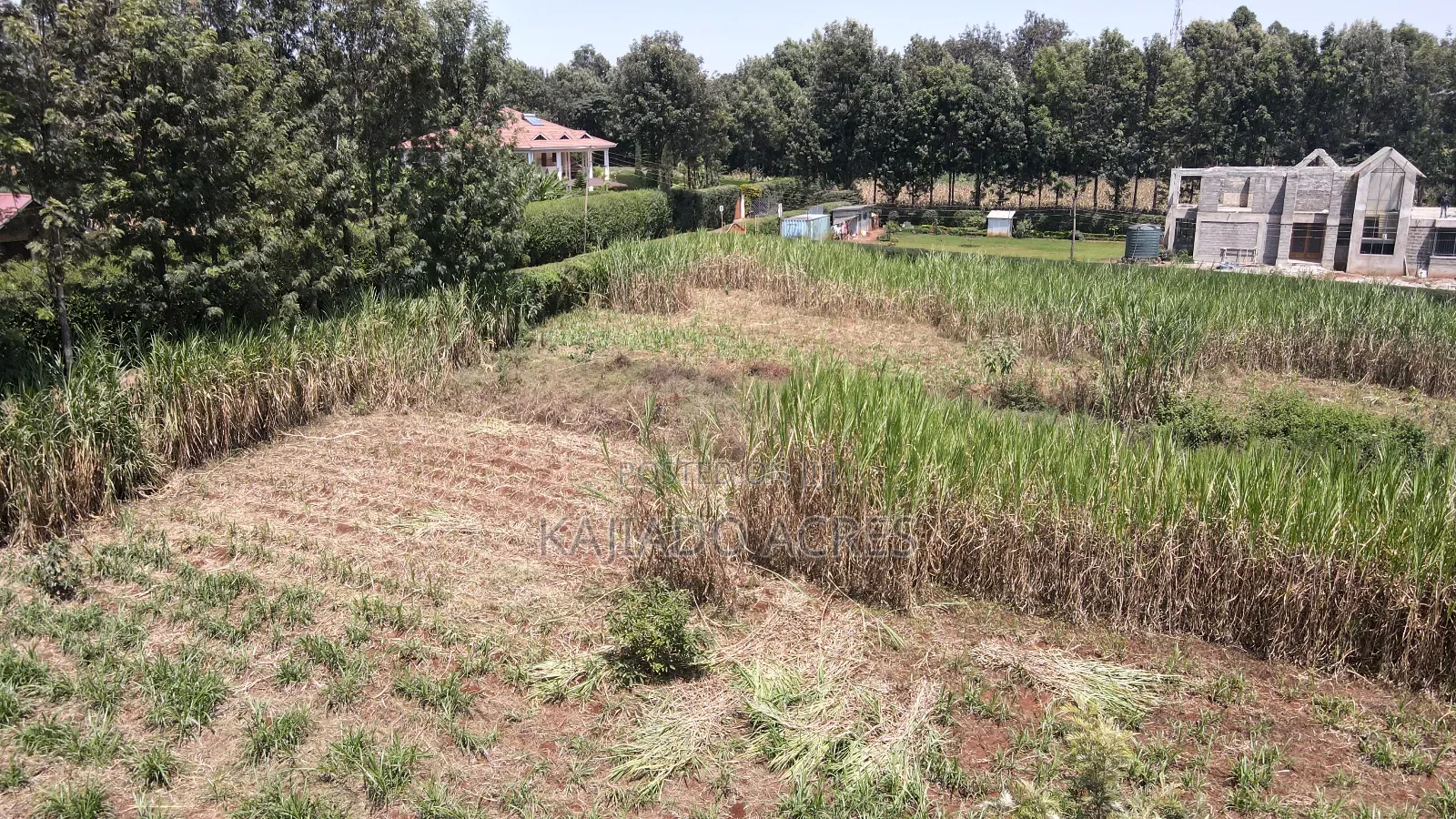 1.2 Acres Rhino Park at 78m